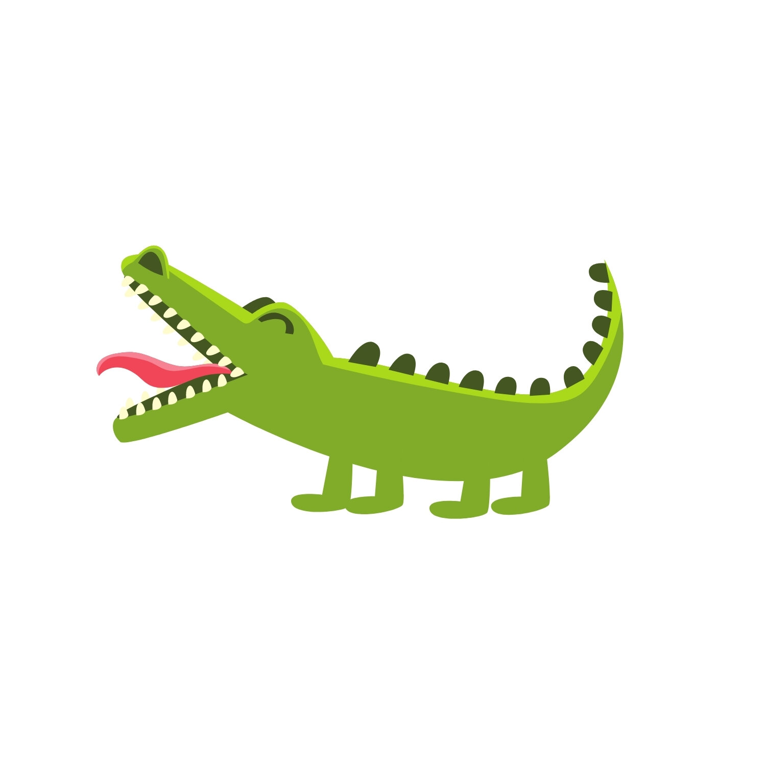 Alligator Snap Time